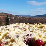 Zalasek Z Alpakami