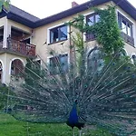 Zalasek Z Alpakami *