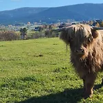 Zalasek Z Alpakami
