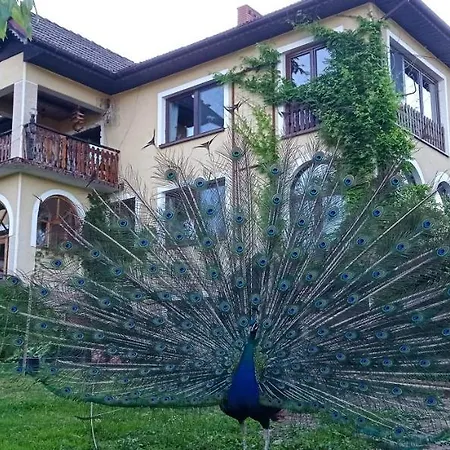 Zalasek Z Alpakami *
