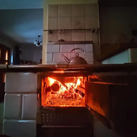 Zalasek Z Alpakami
