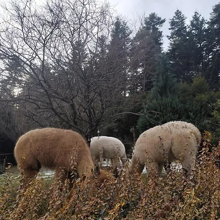 דירה Zalasek Z Alpakami Dobra (Limanowa)