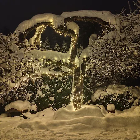 Zalasek Z Alpakami Dobra (Limanowa)